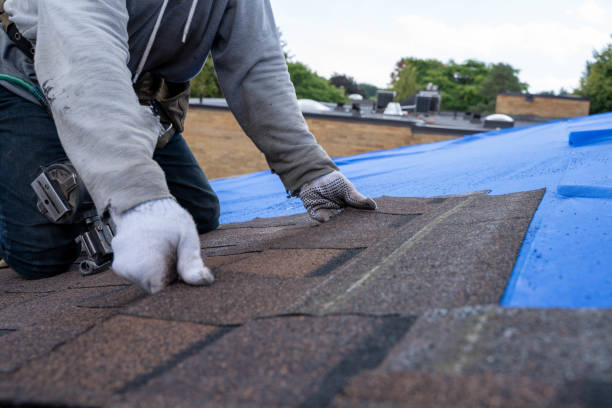 Roof Gutter Cleaning in Palmview, TX